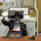הרב דוד לוי סיפור  רבי יצחק בזוהר הקדוש וניסים עם ר’ יצחק ענבי כב’ כסלו תשפ”ד