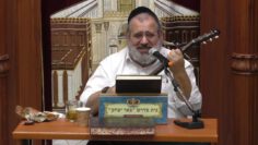 פרטי: [ID: DdO1HEo2LaQ] Youtube Automatic