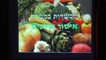 [ID: QZfJRQvk0rw] Youtube Automatic