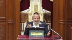 פרטי: [ID: tYCwS8kFAY8] Youtube Automatic
